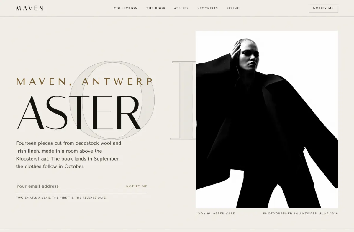 Lookbook website preview